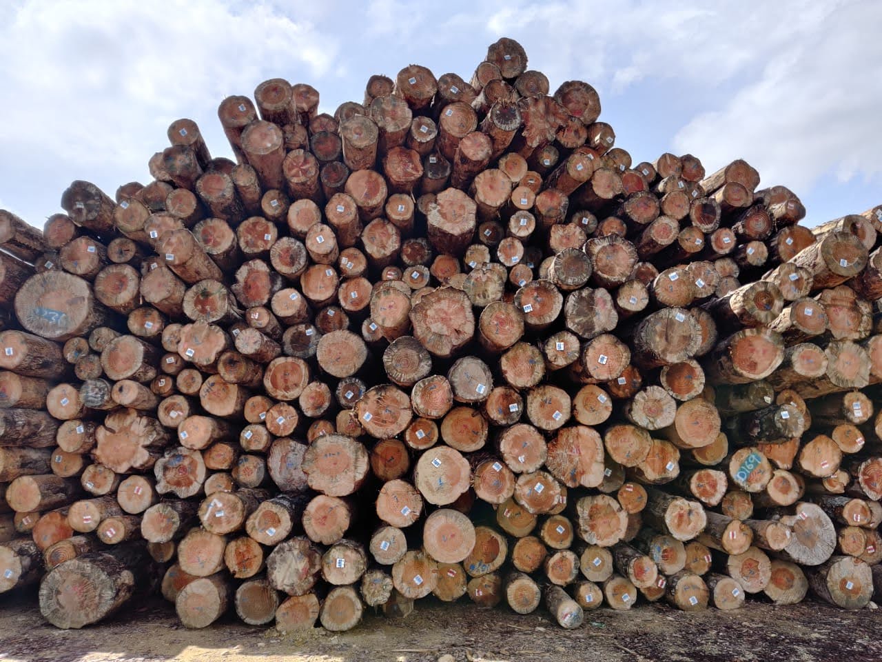 A finished pallet ready for shipping