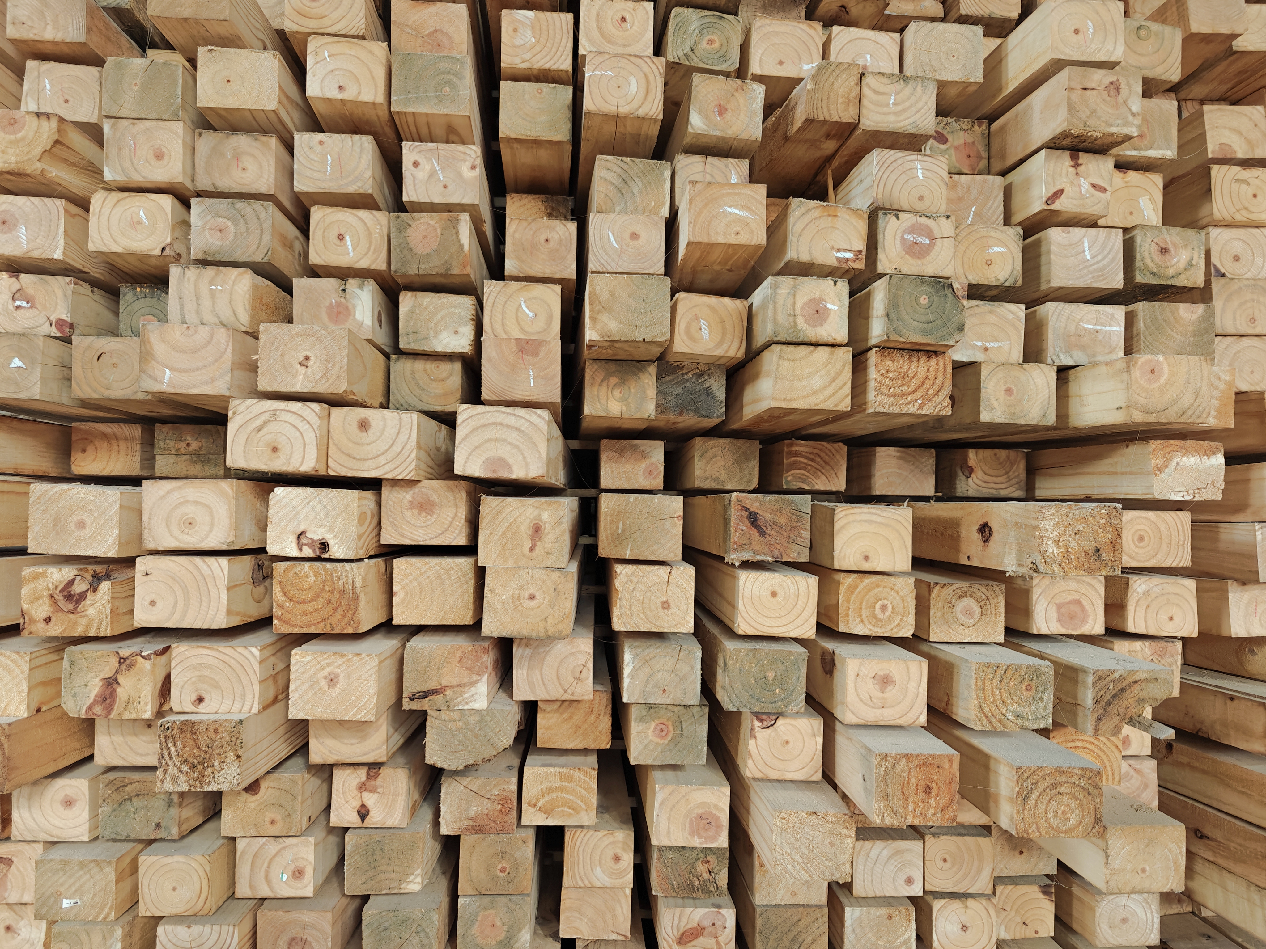 High-quality wooden planks stacked at Ambica Patterns workshop